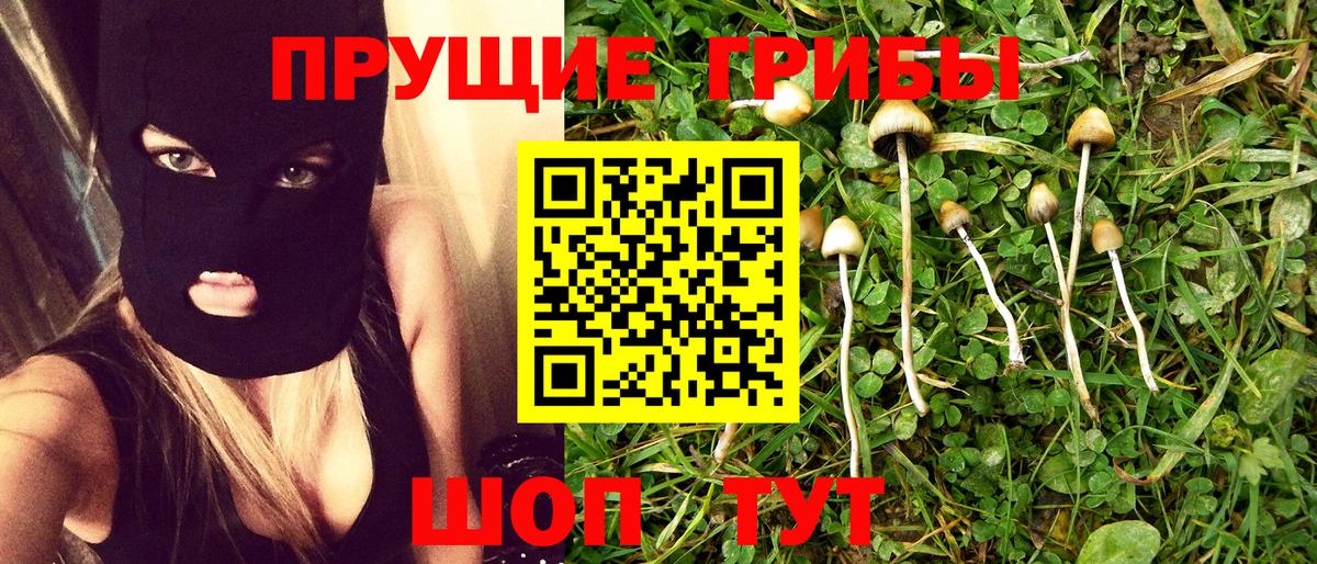 Тимашёвск  купить наркоту  Вход с VPN  Галлюциногенные грибы Magic Shrooms 